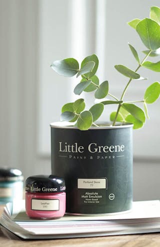 Little Greene paint tin with a green plant growing from it placed on top of wallpaper samples and next to two sample pots.