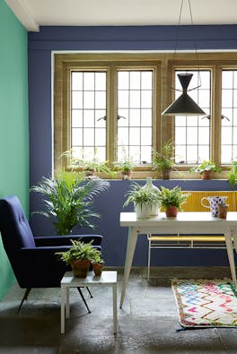 Garden room with purple blue (Pale Lupin) wall, a contrasting green left wall and blue armchair surrounded by potted plants.