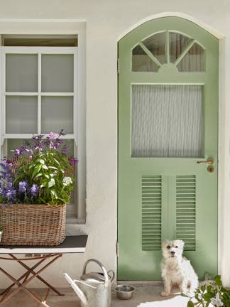 Exterior door in soft Pea Green and walls in Green Stone - Light, with a white dog sitting in front with a watering can.