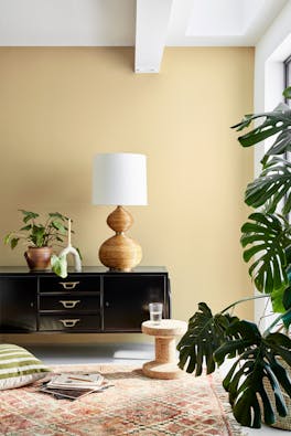 Living area with the back wall painted in warm neutral Bath Stone with a sideboard, lamp and leafy plant.