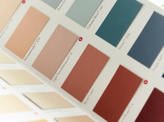 Close-up of the Little Greene color card with rectangular paint swatches on white paper.