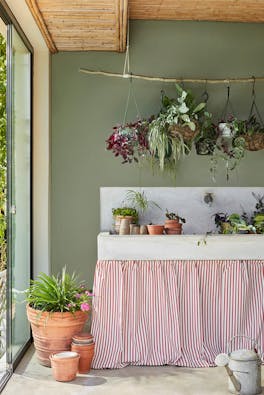 Potting shed painted in muted green shade, Windmill Lane, with various plants surrounding a sink with a striped curtain.