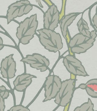 A close-up of the Briar Rose - Salix wallpaper print featuring a pale green base, darker green leaves and light pink roses.