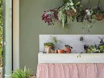 Potting shed painted in muted green shade, Windmill Lane, with various plants surrounding a sink with a striped curtain.