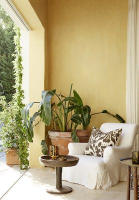 Outside sitting area with a cream armchair, wooden table and plants next to a wall painted in warm yellow shade 'Light Gold'.