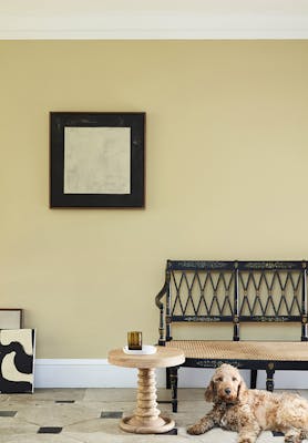 Living and hallway area in a neutral yellow (Oak Apple) with a wooden chair, side table and brown dog sitting on tile floor.