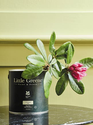 A black Little Greene paint tin holding a bright pink flower, placed on a black marble table with a light green wall behind.