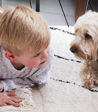 A dog and child lying on the floor of a living room with white plank flooring, neutral fluffy rug and wooden coffee table.