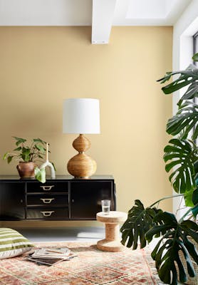 Living area with the back wall painted in warm neutral Bath Stone with a sideboard, lamp and leafy plant.