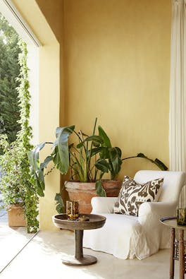 Outside sitting area with a cream armchair, wooden table and plants next to a wall painted in warm yellow shade 'Light Gold'.