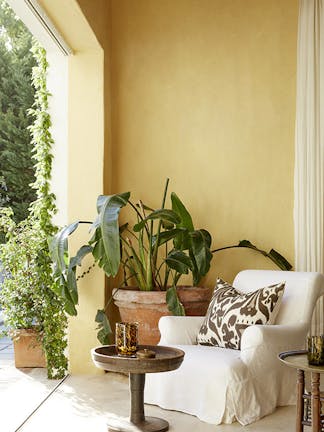 Outside sitting area with a cream armchair, wooden table and plants next to a wall painted in warm yellow shade 'Light Gold'.