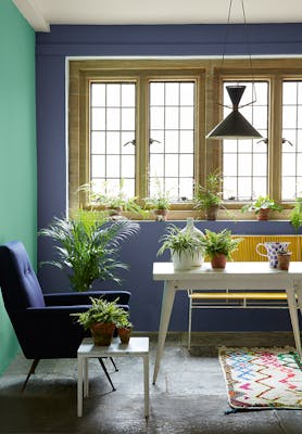 Room with a bright green (Green Verditer) left wall and a purple-blue (Pale Lupin) right wall with a window, plants and desk.