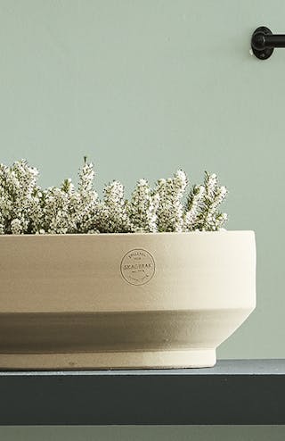 Light green kitchen walls with a vase and plant pot placed on a black kitchen unit.