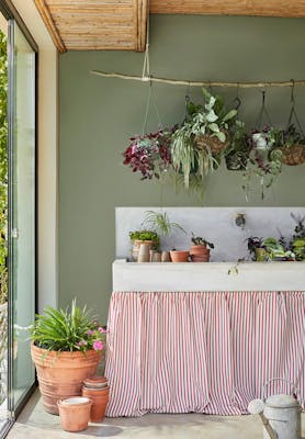 Potting shed painted in muted green shade, Windmill Lane, with various plants surrounding a sink with a striped curtain.