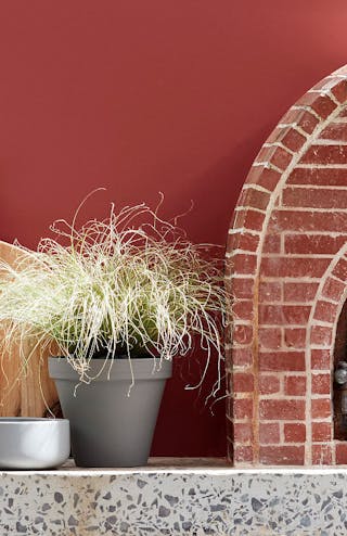 Close up of an outdoor brick oven alongside terracotta red (Tuscan Red) wall, a plant and a wooden pizza peel.