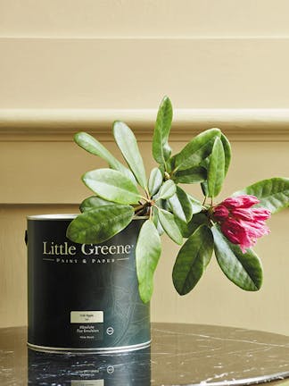 A black Little Greene paint tin holding a bright pink flower, placed on a black marble table with a light green wall behind. 