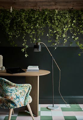 Home office with a dark green wall (Obsidian Green) with plants hanging from the ceiling alongside a wooden table and chair.