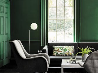 Living space with dark green walls, panelled window and grey furniture featuring green and nature themed accessories.