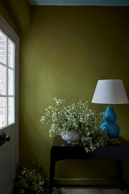 Hallway with vibrant green (Citrine) on the walls, a white front door to the left and a side table with a plant and lamp. 