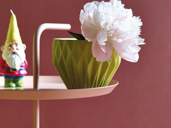 Close-up of a coffee table in front of a wall painted in a mid pink shade 'Ashes of Roses' with a flower and gnome on top.