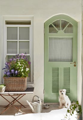 Exterior door in soft Pea Green and walls in Green Stone - Light, with a white dog sitting in front with a watering can.