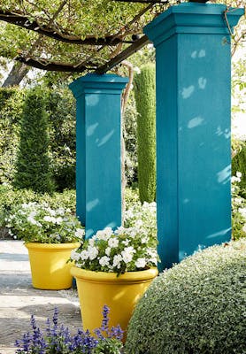 Outside area with dark blue (Marine Blue) pillars and bright yellow (Mister David) plant pots, next to trees and flowers.