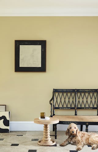 Living and hallway area in a neutral yellow (Oak Apple) with a wooden chair, side table and brown dog sitting on tile floor.