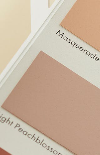 Close-up of the Little Greene color card with rectangular paint swatches on white paper.