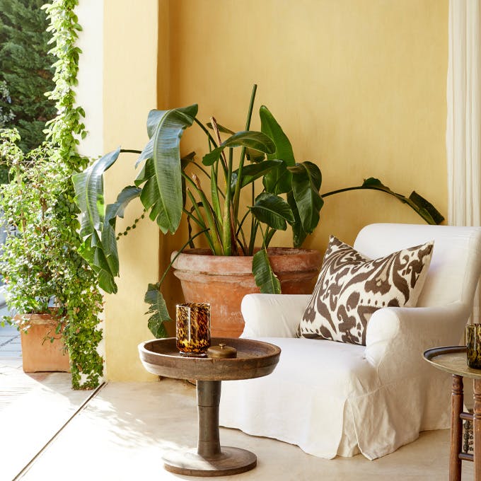 Outside sitting area with a cream armchair, wooden table and plants next to a wall painted in warm yellow shade 'Light Gold'.