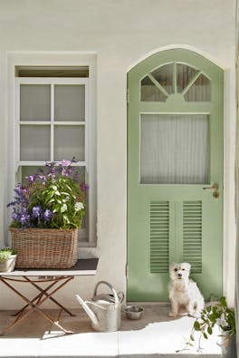 Exterior door in soft Pea Green and walls in Green Stone - Light, with a white dog sitting in front with a watering can.