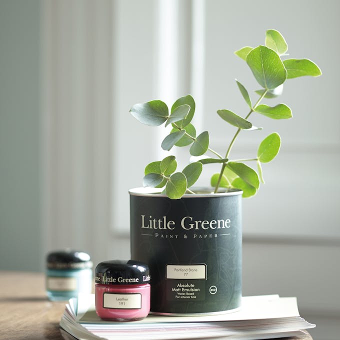 Little Greene paint tin with a green plant growing from it placed on top of wallpaper samples and next to two sample pots.