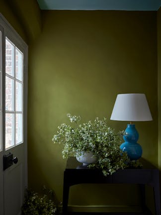 Hallway with vibrant green (Citrine) on the walls, a white front door to the left and a side table with a plant and lamp. 