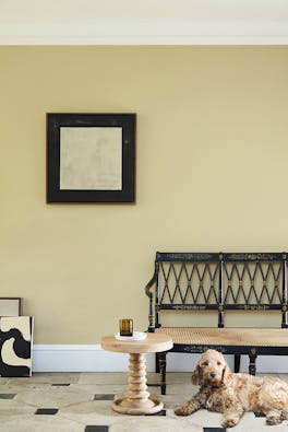 Living and hallway area in a neutral yellow (Oak Apple) with a wooden chair, side table and brown dog sitting on tile floor.