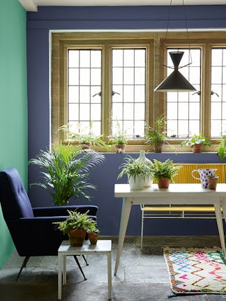 Garden room with purple blue (Pale Lupin) wall, a contrasting green left wall and blue armchair surrounded by potted plants.