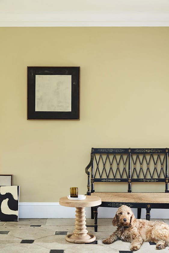 Living and hallway area in neutral yellow (Oak Apple) with a wooden chair, side table and brown dog sitting on tile floor.